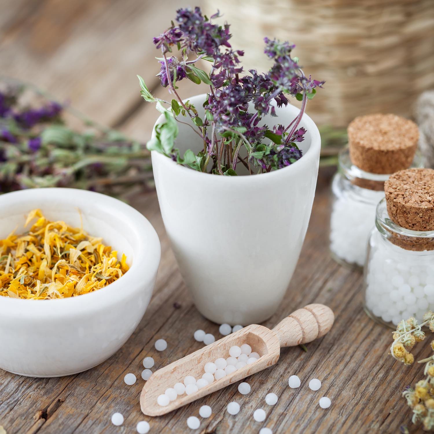 Homéopathie 4 Homéopathie, Pharmacie de Thivars